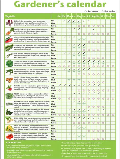 Free Printable Vegetable Planting Calendar Uk Pdf